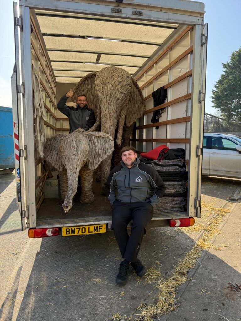 animal-movers-norfolk